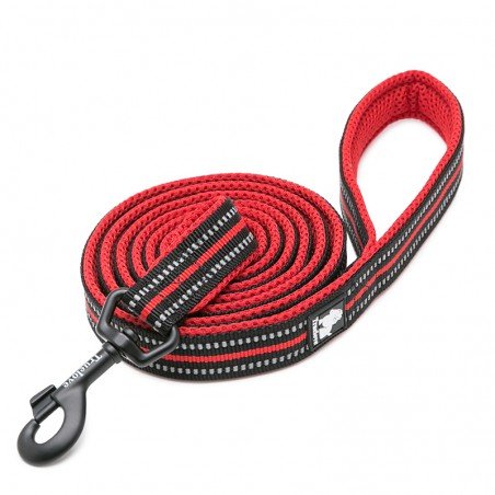 Truelove dog walking leash