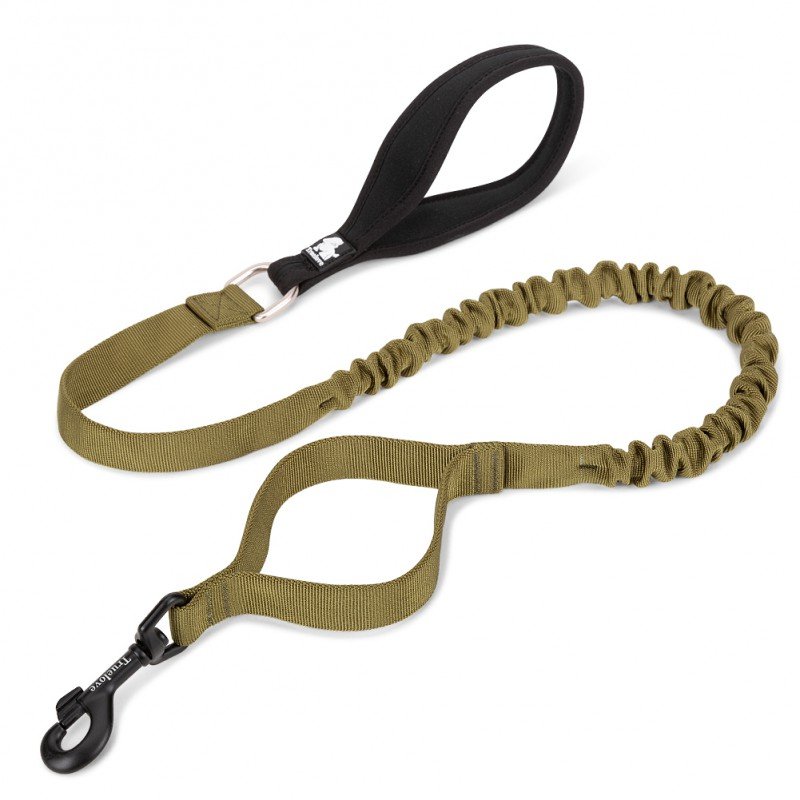 Truelove shop dog leash